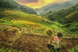 Labouring for a Lifetime