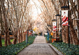 Macquarie Uni. Photo by Fidel Fernando on Unsplash.