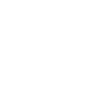 Asset gift icon